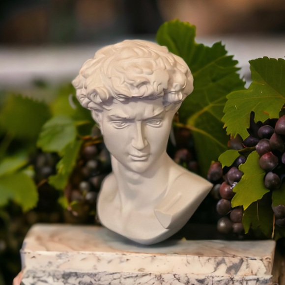 Michelangelo's David Bust - Picture 9 of 16